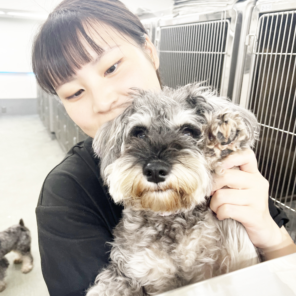 室内でＷａｎ活♪